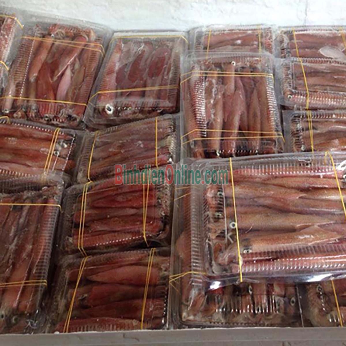 Mực trứng tươi sống ngon chất lượng 30-40 con/kg Xuất xứ Khánh Hòa