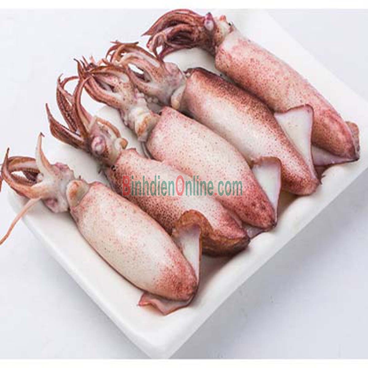 Mực trứng câu tươi sống giá tốt 15-20 con/kg Xuất xứ Cà Mau