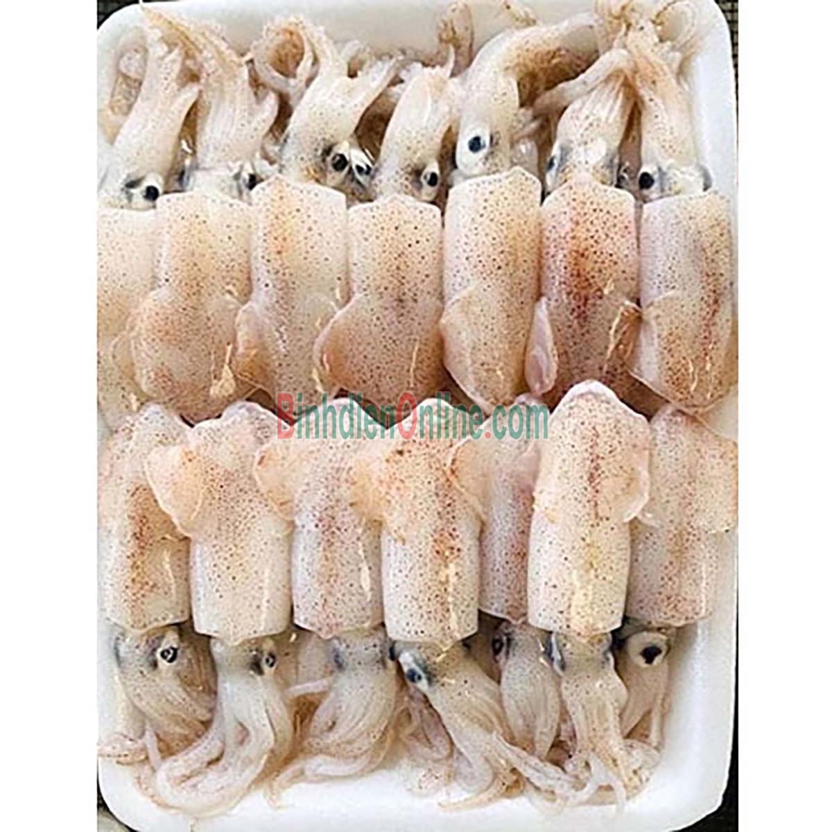Mực sim tươi sống loại 1 giá tốt Loại lớn Xuất xứ Kiên Giang