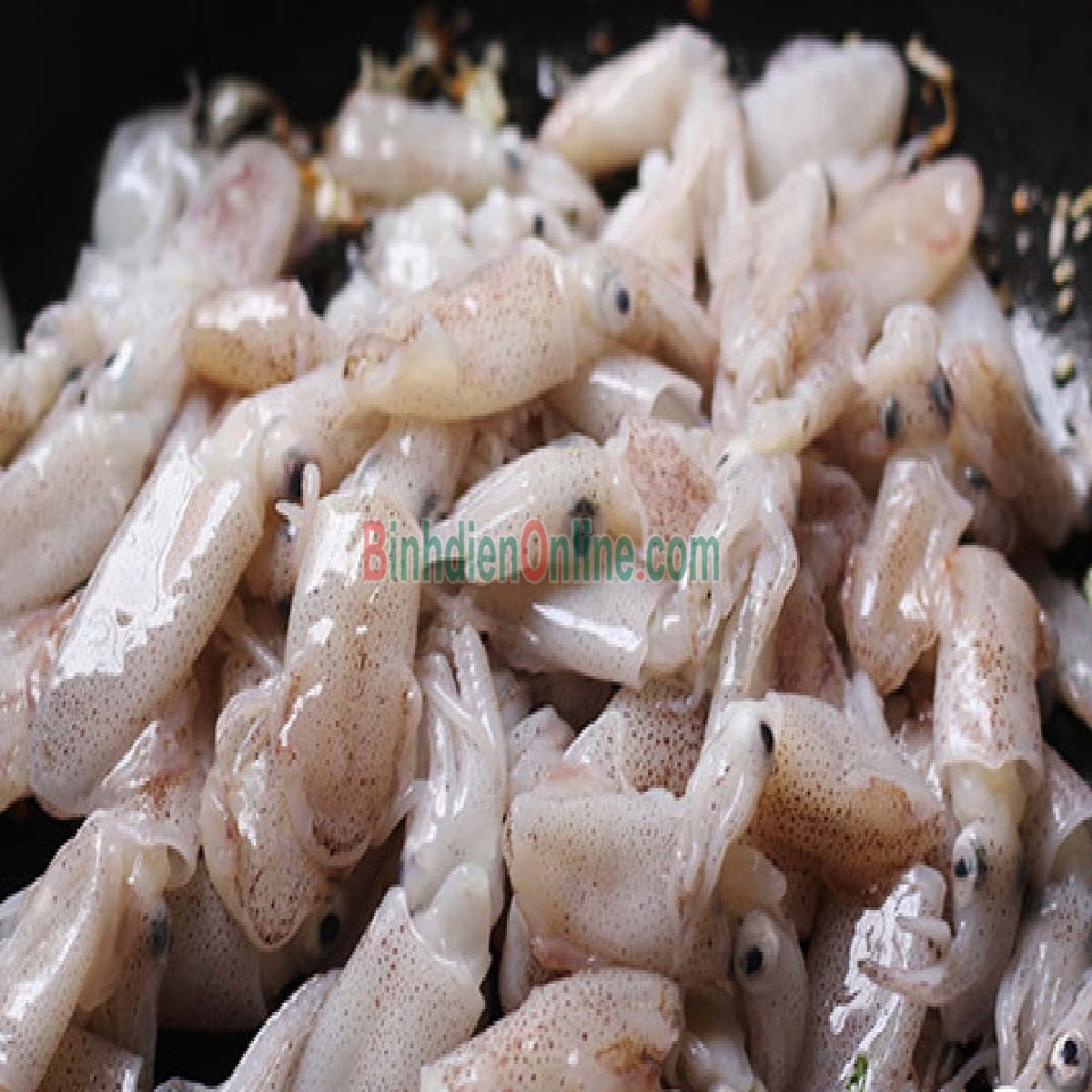 Mực sim tươi sống ngon đặc biệt Loại nhỏ Xuất xứ Cà Mau