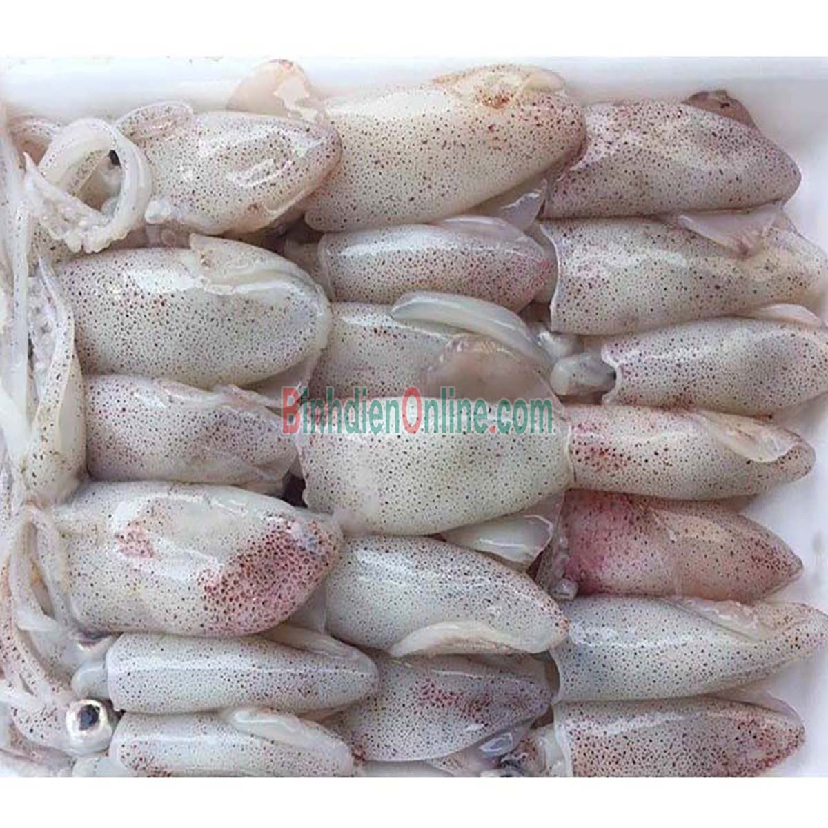 Mực sim đông lạnh ngon ngất ngây Loại lớn Xuất xứ Nghệ An