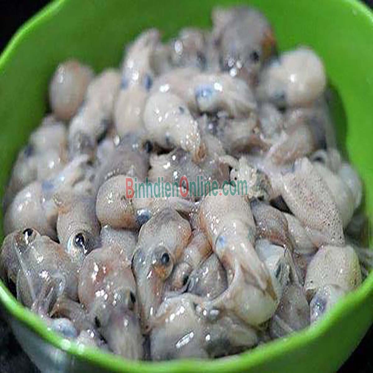 Mực sim tươi sống loại 1 giá tốt Loại nhỏ Xuất xứ Bình Thuận