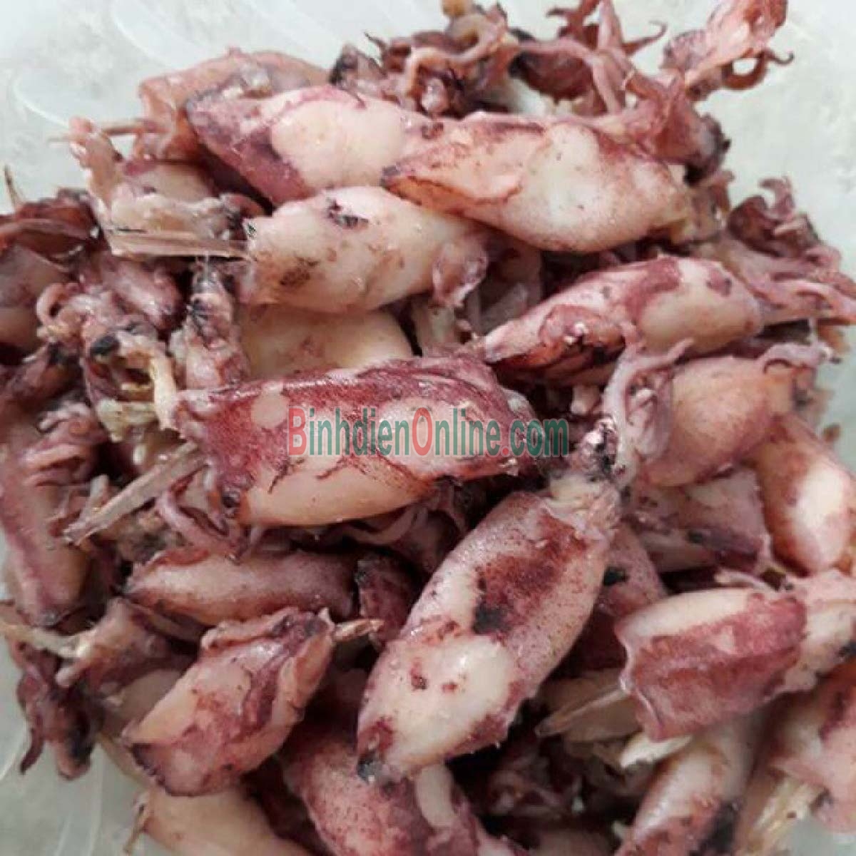 Mực sim tươi sống bổ dưỡng Loại trung Xuất xứ Kiên Giang