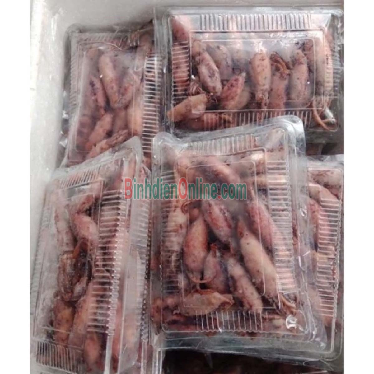 Mực sim tươi sống ngon đặc biệt Loại nhỏ Xuất xứ Bình Thuận