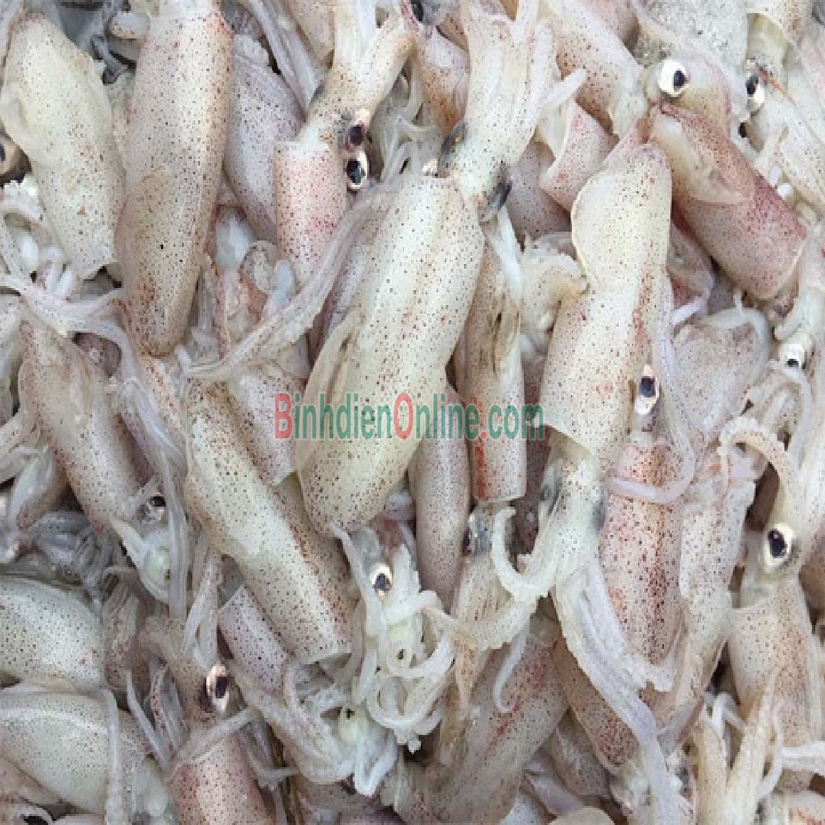Mực sim đông lạnh giá tốt Loại trung Xuất xứ Kiên Giang