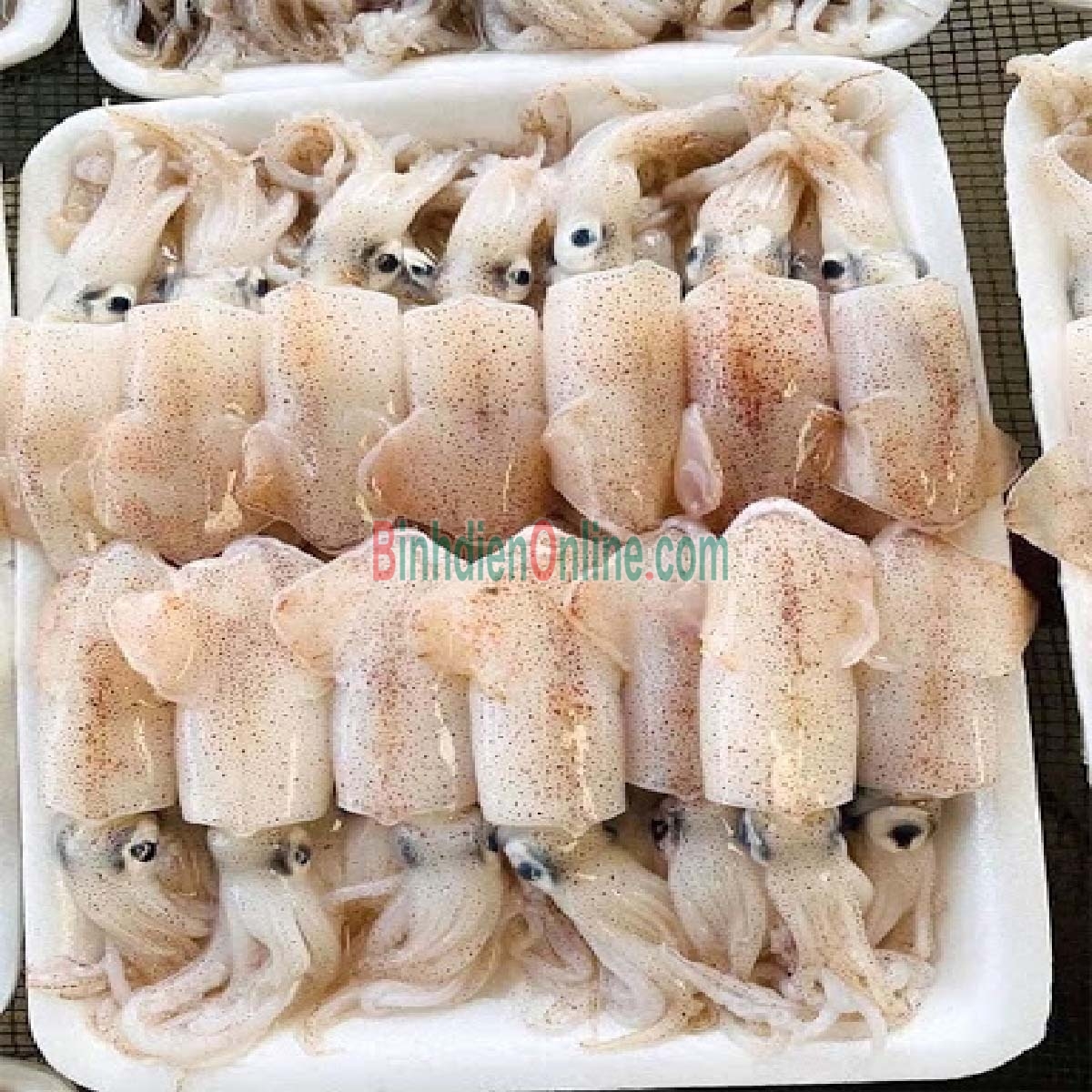 Mực sim đông lạnh ngon ngất ngây Loại nhỏ Xuất xứ Kiên Giang