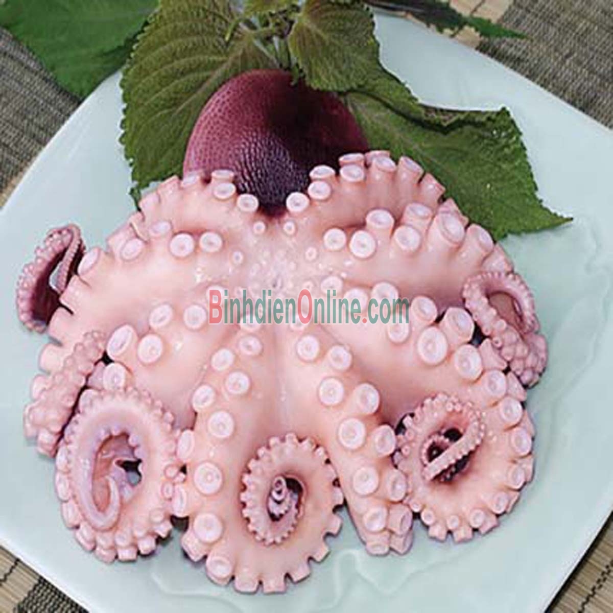 Bạch tuộc tươi đã làm sạch cấp đông giá tốt 10-20 con/kg Xuất xứ Vũng Tàu