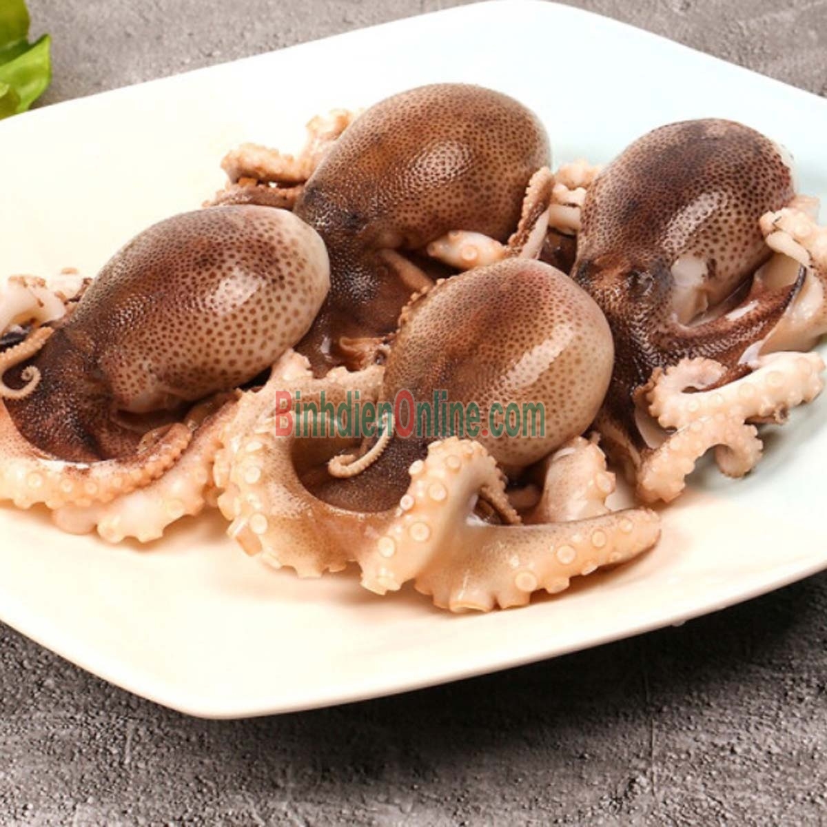 Bạch tuộc tươi sống từ thiên nhiên 6-8 con/kg Xuất xứ Bình Thuận