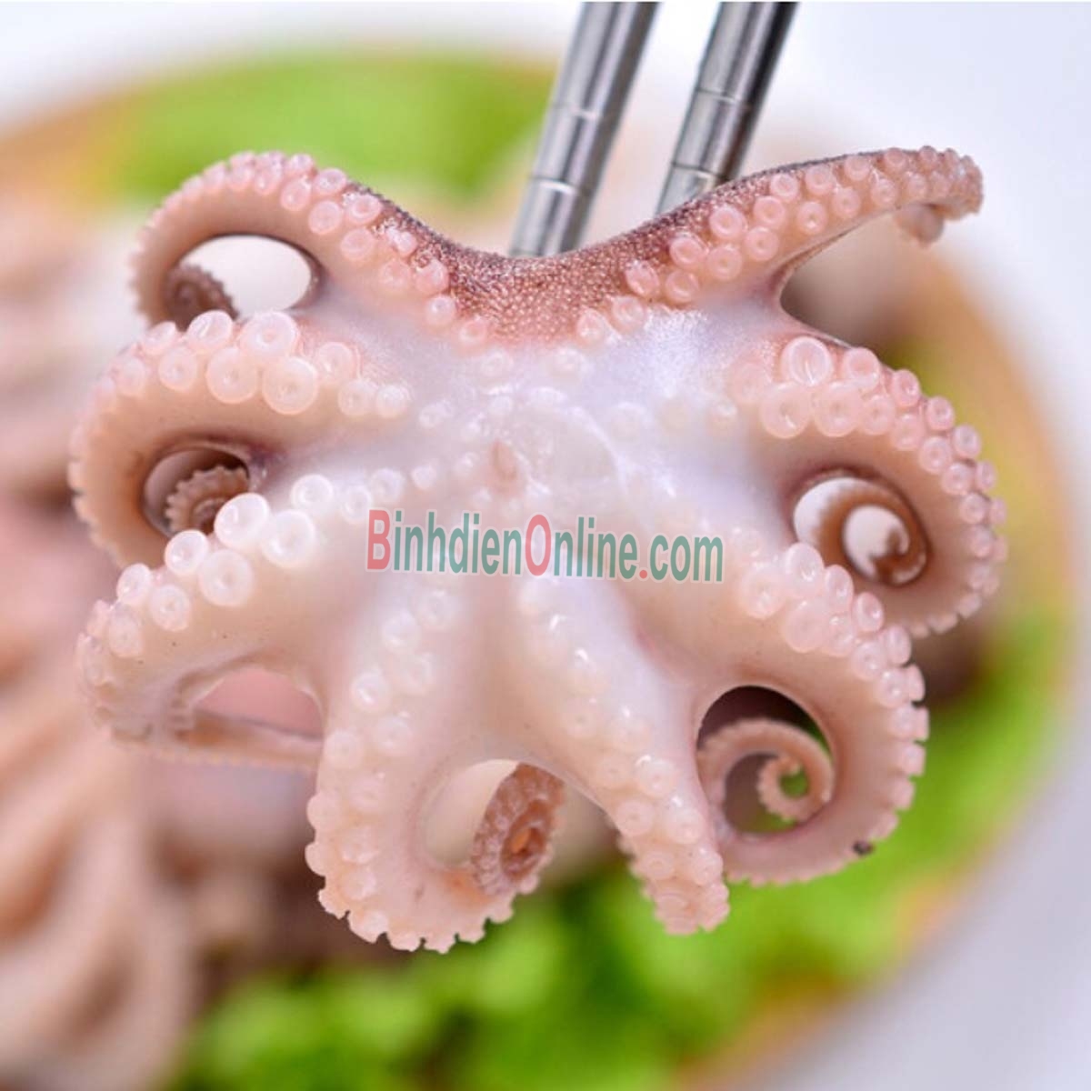 Bạch tuộc tươi ngon, chất lượng 8-10 con/kg Xuất xứ Vũng Tàu