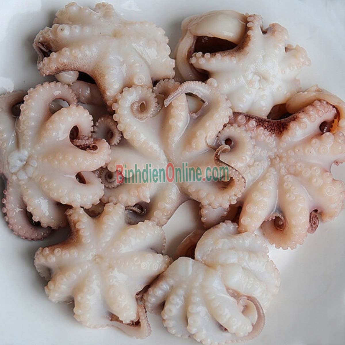 Bạch tuộc đông lạnh loại 1 đã làm sạch 10-20 con/kg Xuất xứ Bình Thuận