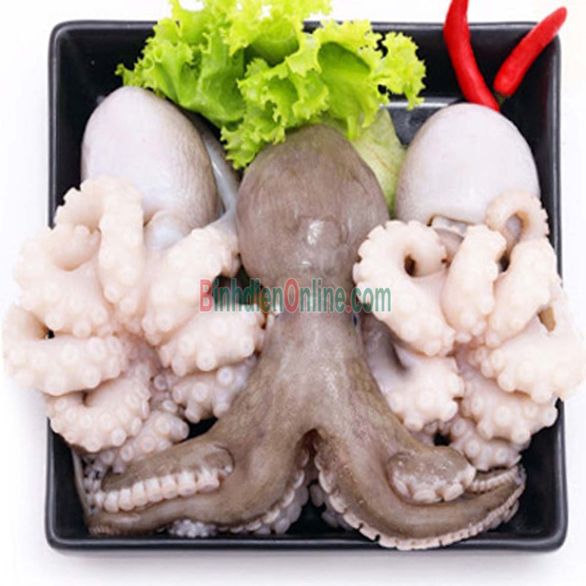 Bạch tuộc tươi sống vừa đánh bắt 4-6 con/kg Xuất xứ Bình Thuận