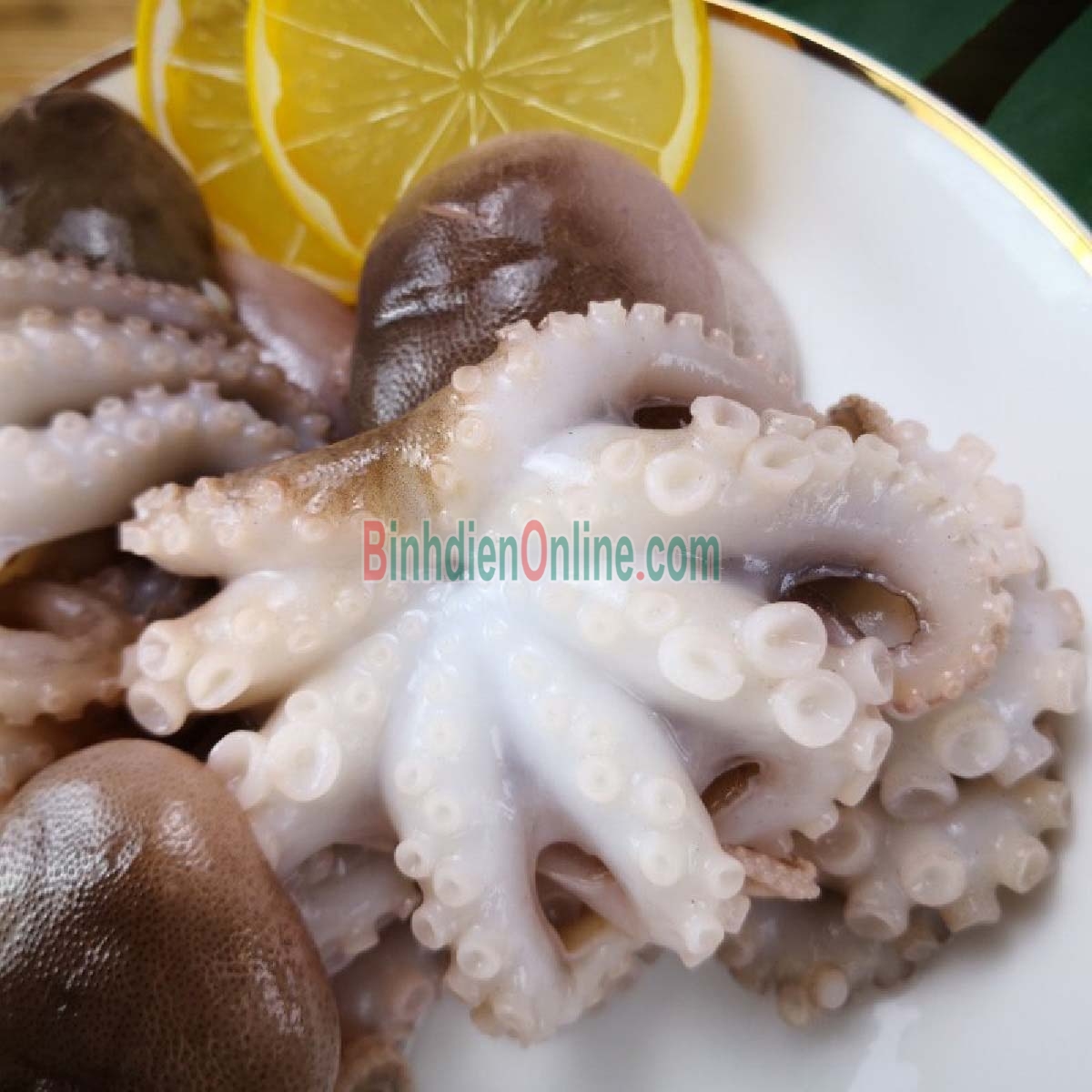 Bạch tuộc tươi sống vừa đánh bắt 8-10 con/kg Xuất xứ Cà Mau
