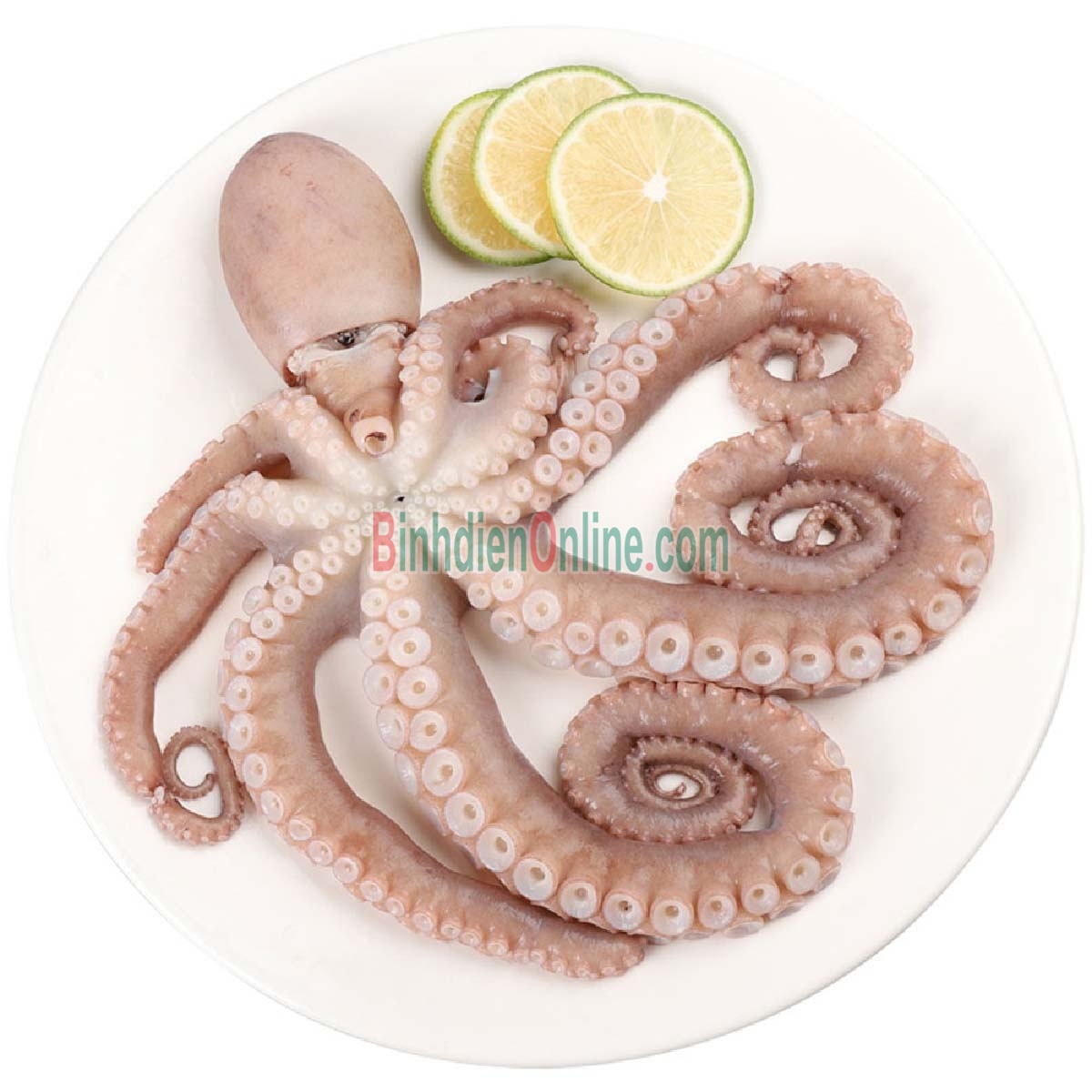 Bạch tuộc tươi ngon, chất lượng 2-3 con/kg Xuất xứ Khánh Hòa