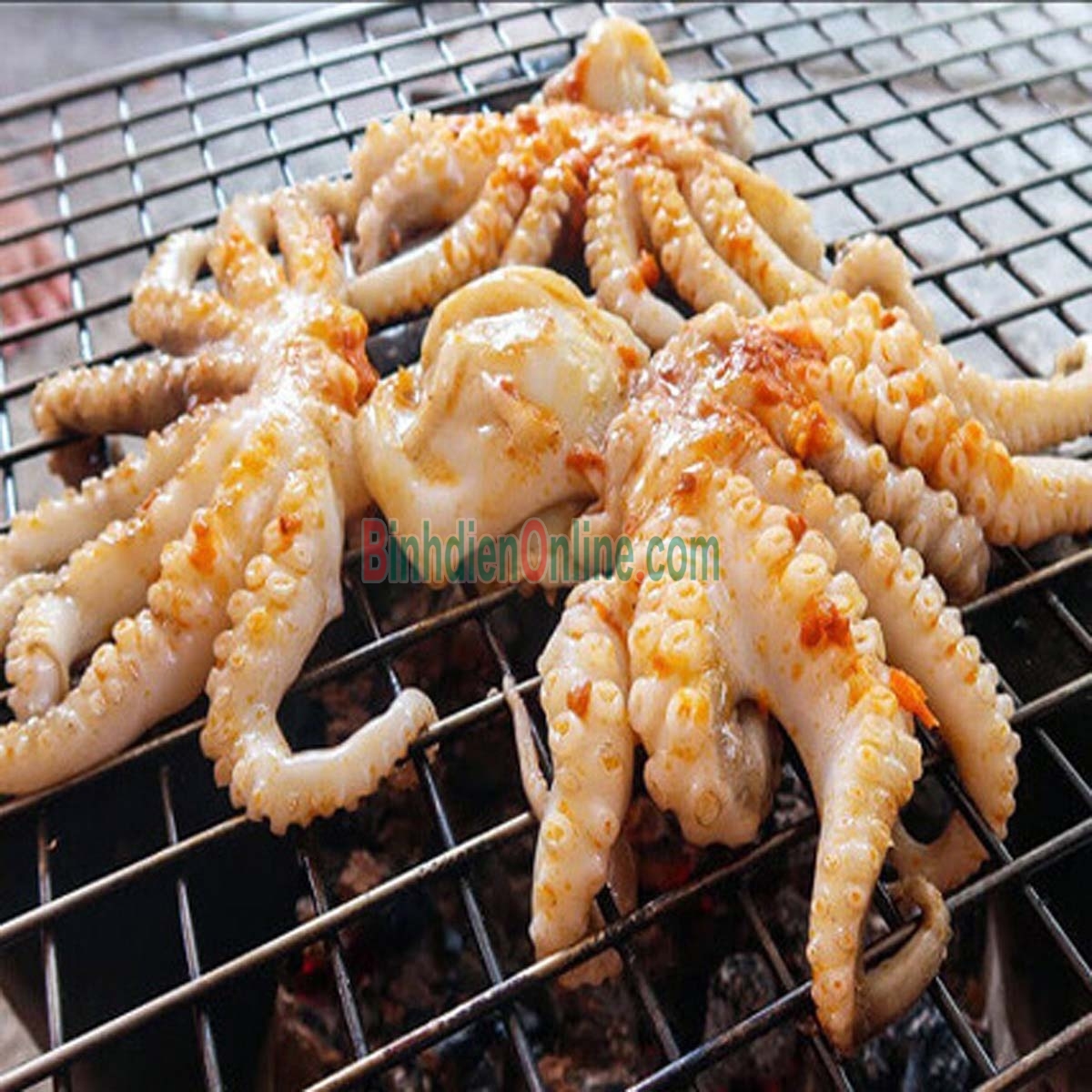 Bạch tuộc tươi sống vừa đánh bắt 0,6-0,8 kg/con Xuất xứ Vũng Tàu