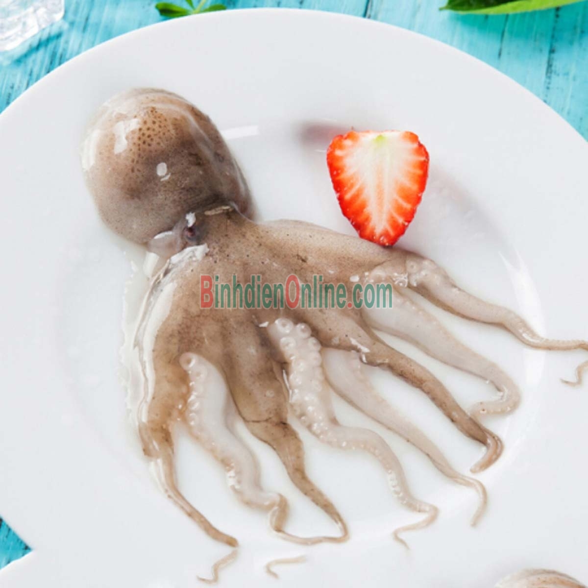 Bạch tuộc tươi sống vừa đánh bắt 4-6 con/kg Xuất xứ Khánh Hòa