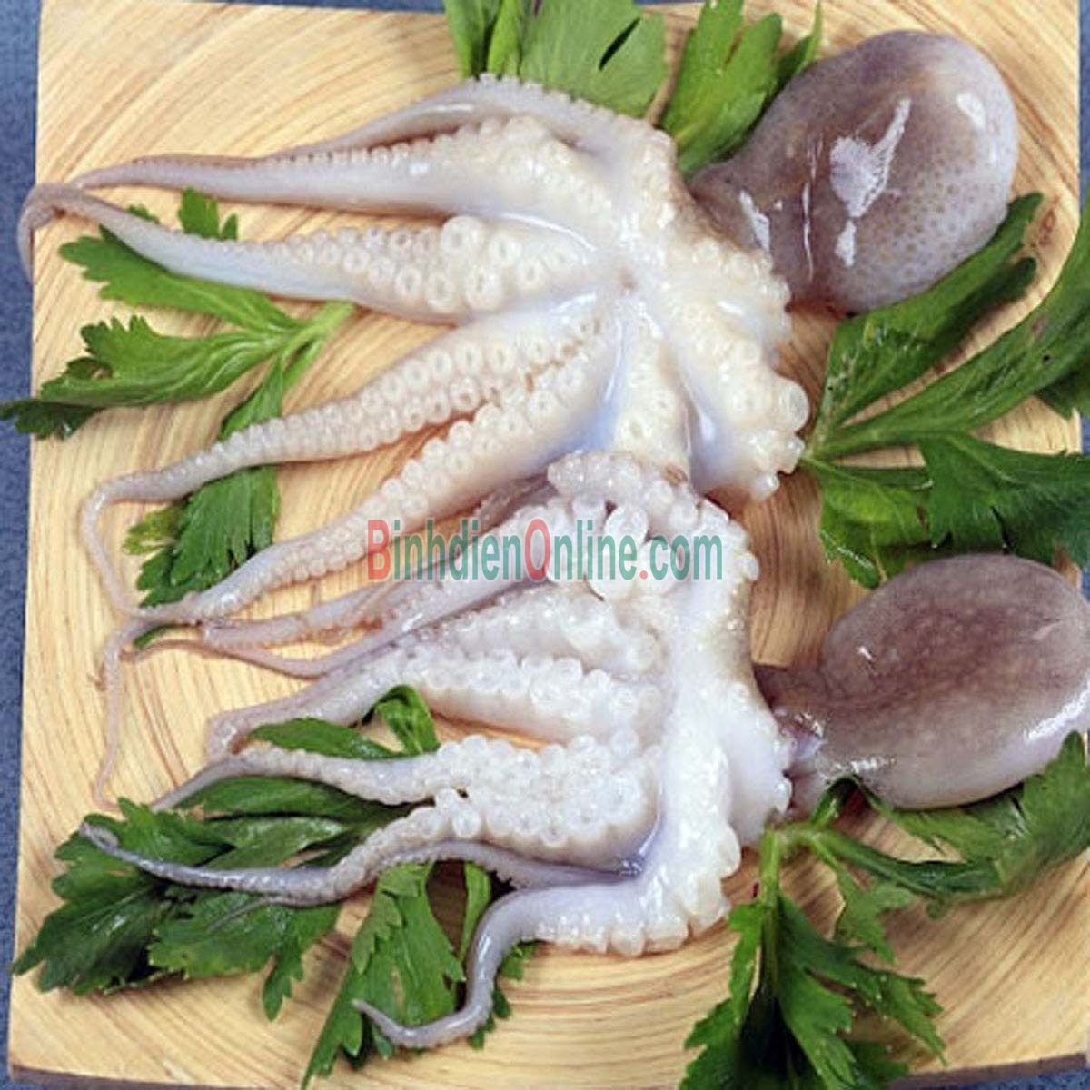 Bạch tuộc tươi ngon, chất lượng 3-4 con/kg Xuất xứ Bình Thuận