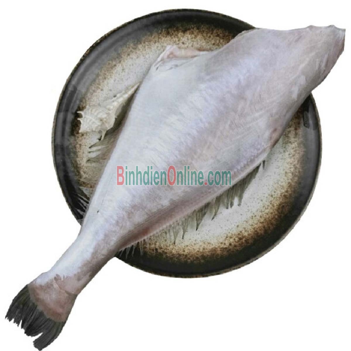 Cá bò da tươi đã lột da làm sạch loại 1 1-1,5 kg/con Xuất xứ Vũng Tàu