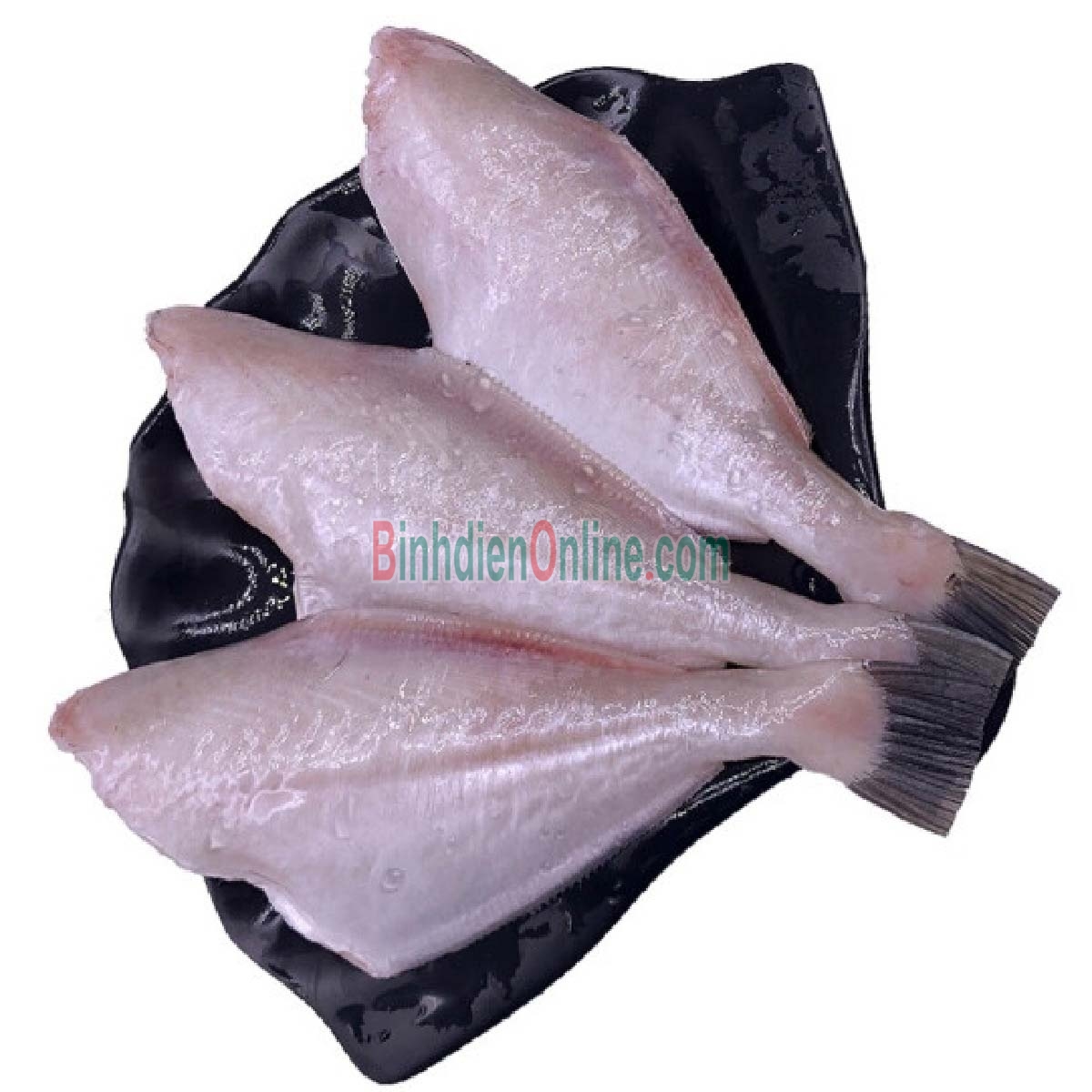 Cá bò da tươi đã lột da làm sạch loại đặc biệt 0,5-1 kg/con Xuất xứ Khánh Hòa