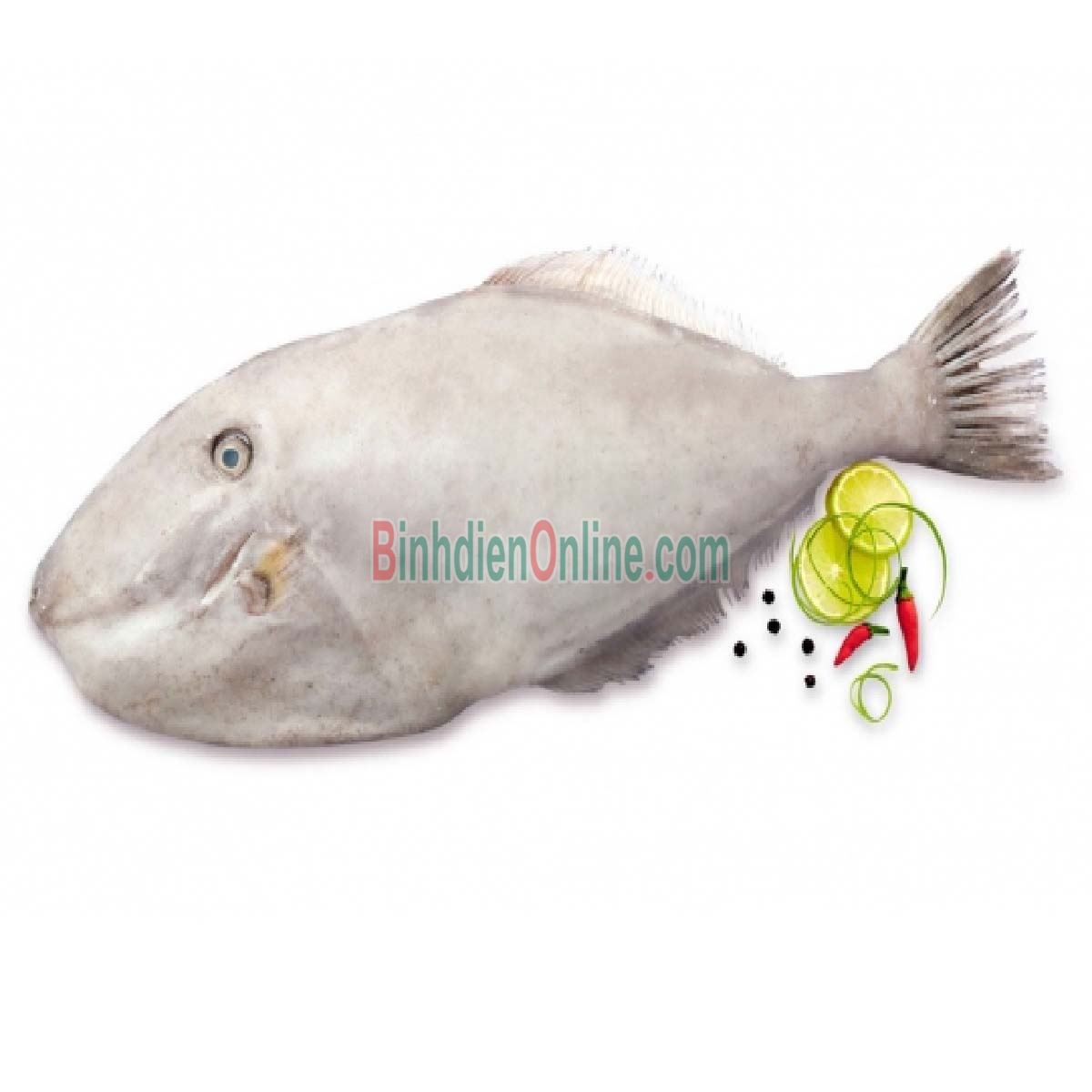 Cá bò da tươi đã lột da làm sạch loại 1 1-1,5 kg/con Xuất xứ Kiên Giang