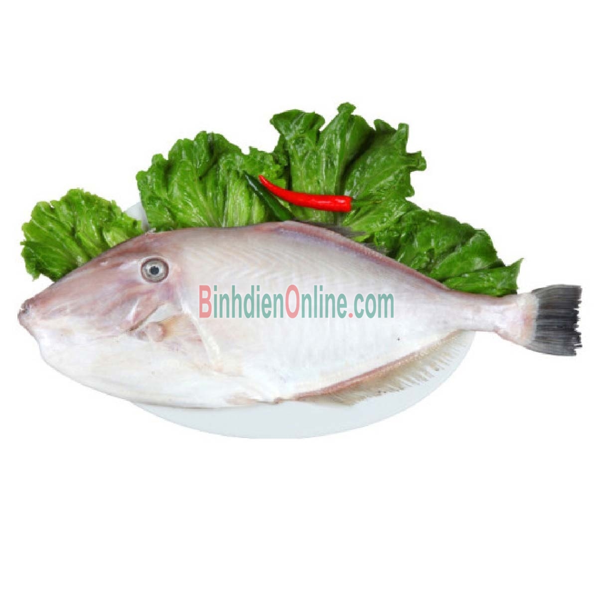 Cá bò da đã lột da làm sạch đông lạnh chất lượng 0,5-1 kg/con Xuất xứ Vũng Tàu
