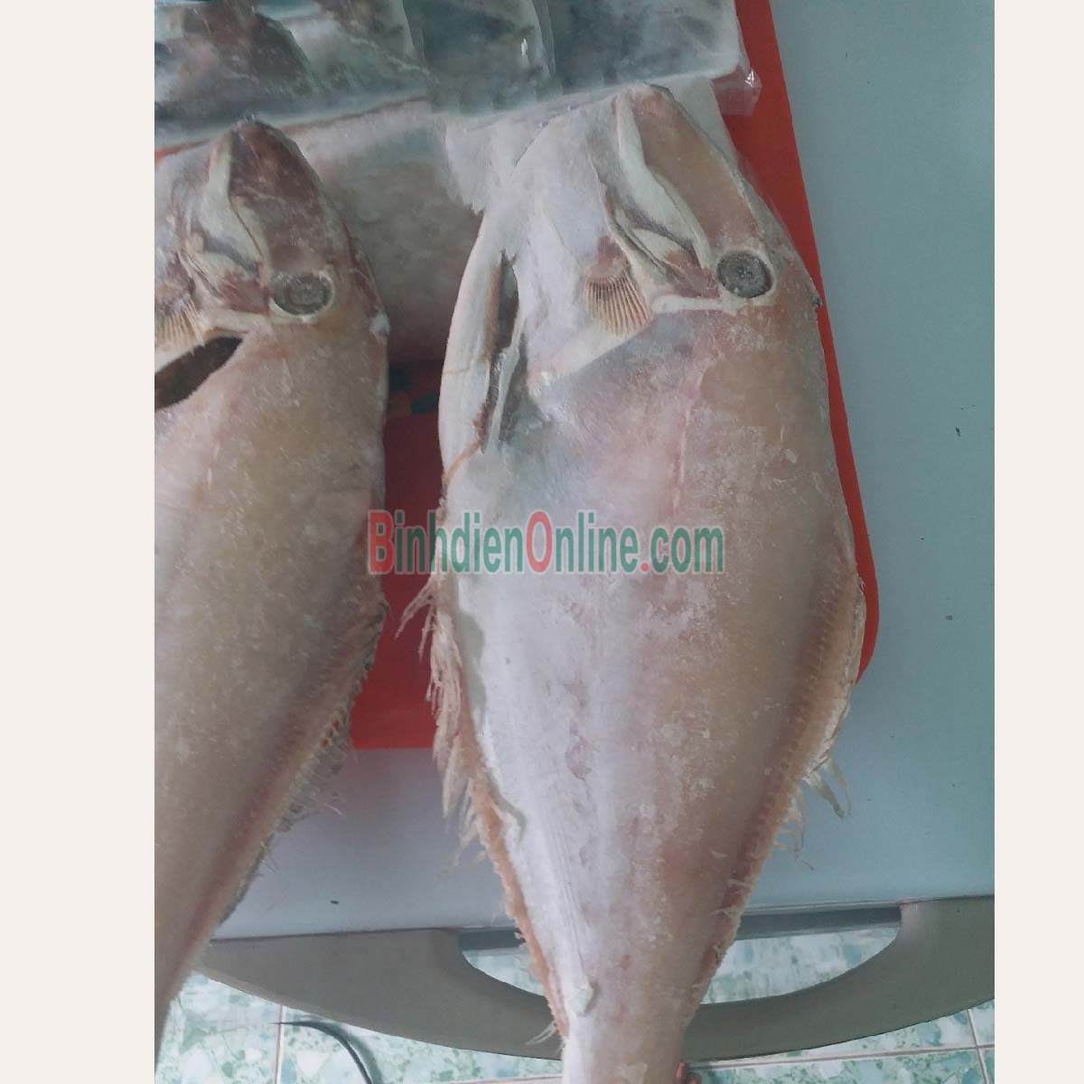 Cá bò da đã lột da làm sạch đông lạnh chất lượng 0,5-1 kg/con Xuất xứ Khánh Hòa