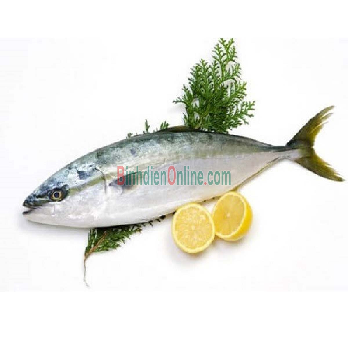 Cá cam đã làm sạch, tươi rói và an toàn 0,5-1 kg/con Xuất xứ Khánh Hòa