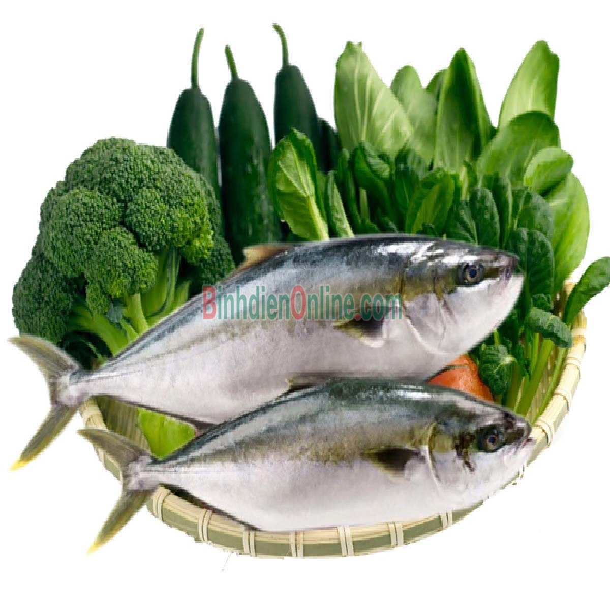 Cá cam tươi mới đánh bắt giá tốt 1-1,5 kg/con Xuất xứ Khánh Hòa