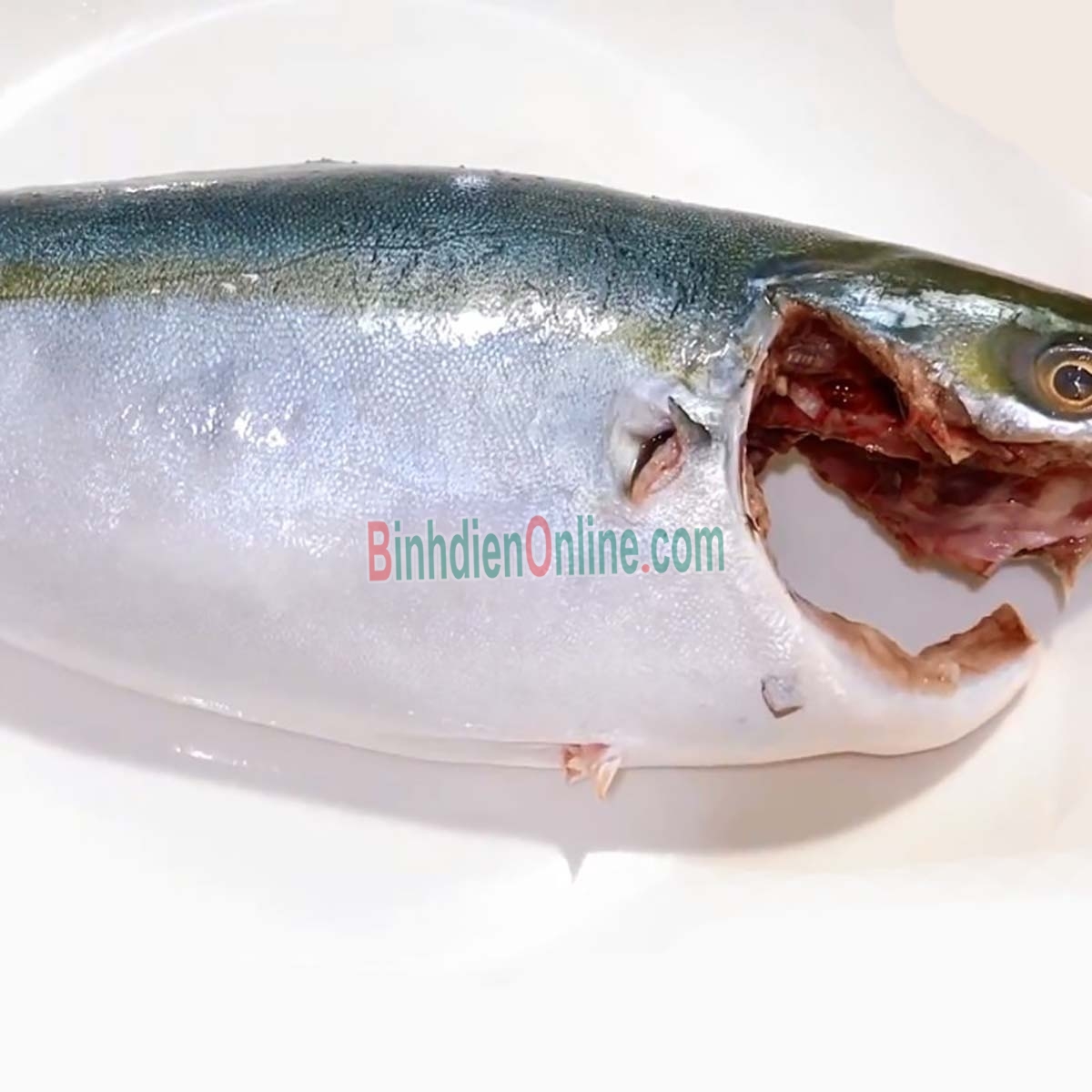 Cá cam tươi mới đánh bắt giá tốt 0,5-1 kg/con Xuất xứ Vũng Tàu