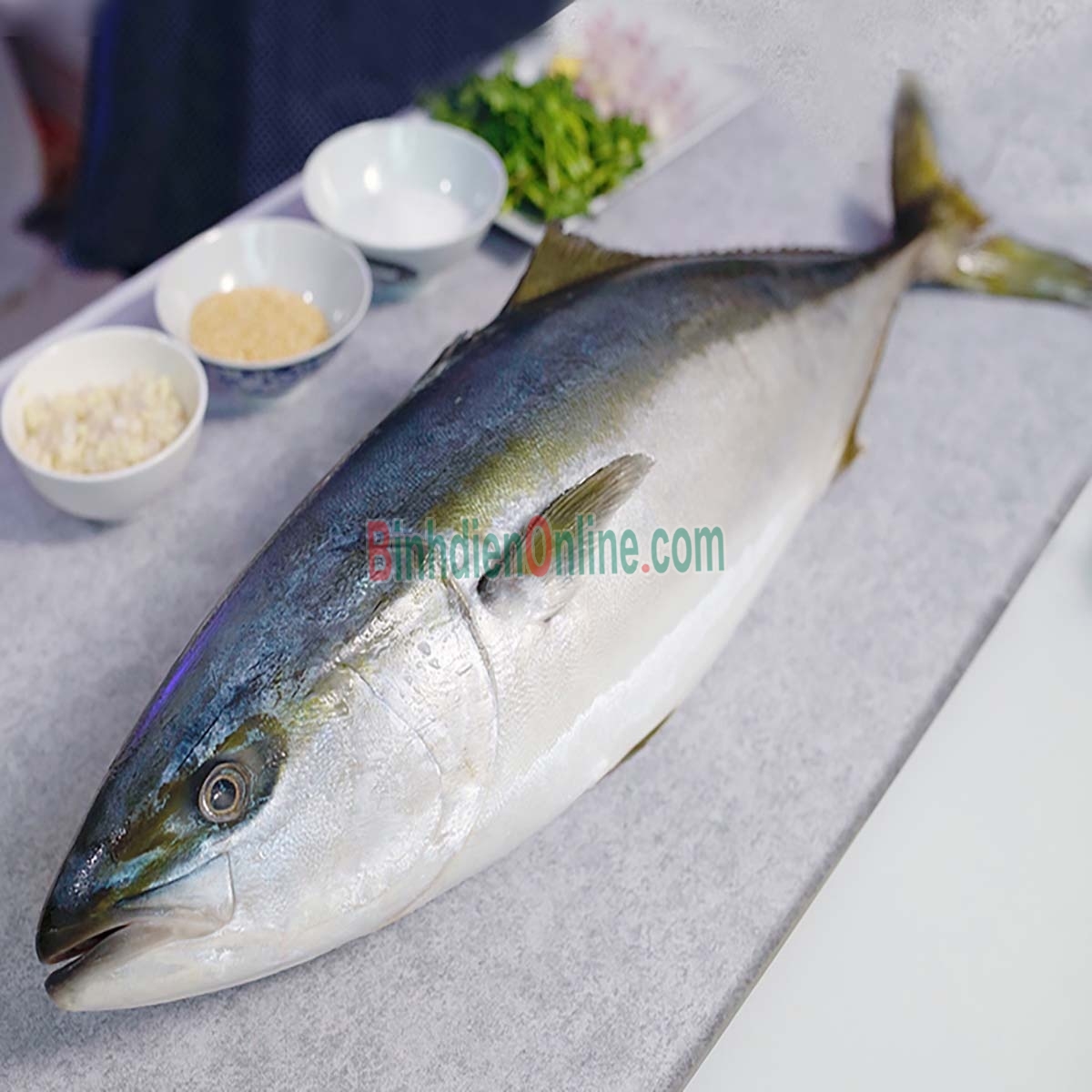 Cá cam còn tươi rói đảm bảo an toàn 0,5-1 kg/con Xuất xứ Bình Thuận