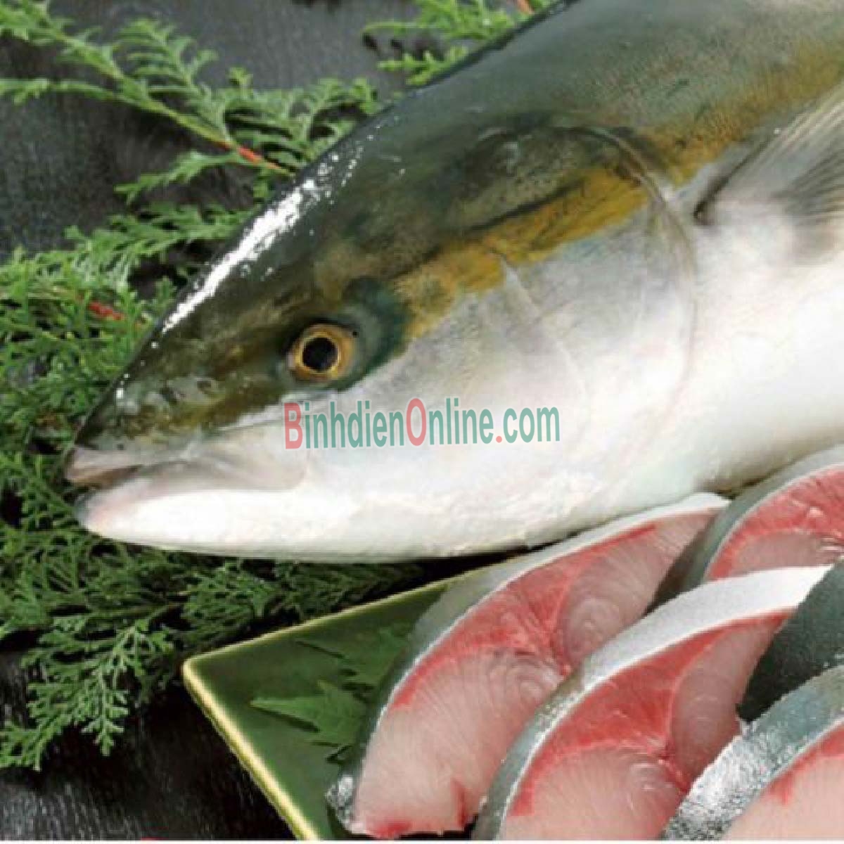 Cá cam tươi loại 1, đảm bảo tươi ngon 1-1,5 kg/con Xuất xứ Tiền Giang