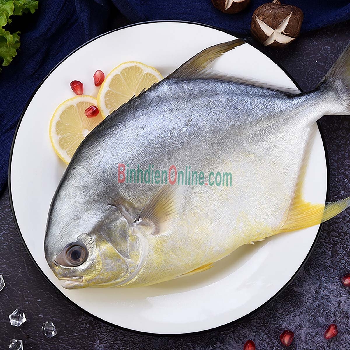 Cá chim trắng tươi mới chất lượng loại 1 1-1,5 kg/con Xuất xứ Vũng Tàu