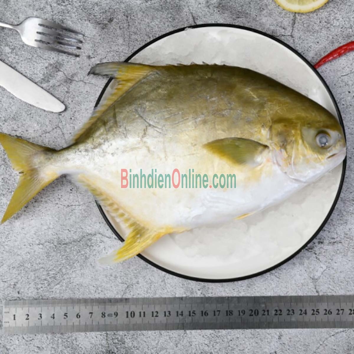 Cá chim trắng vây vàng loại 1 tươi mới 1-1,5 kg/con Xuất xứ Vũng Tàu