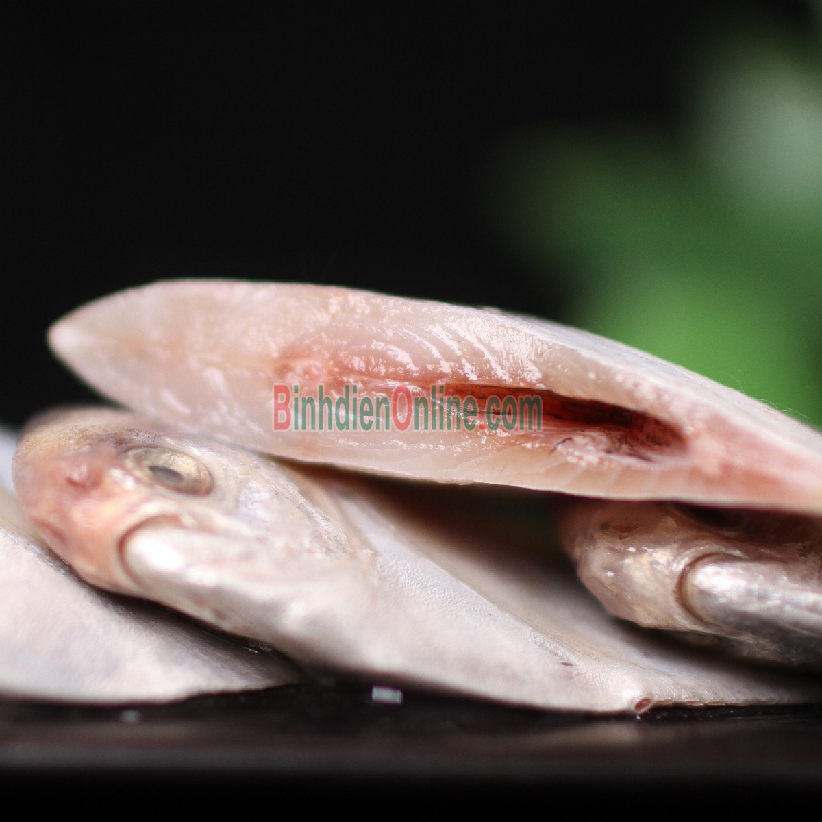 Cá chim trắng biển tươi sạch thơm ngon 0,7-1 kg/con Xuất xứ Kiên Giang