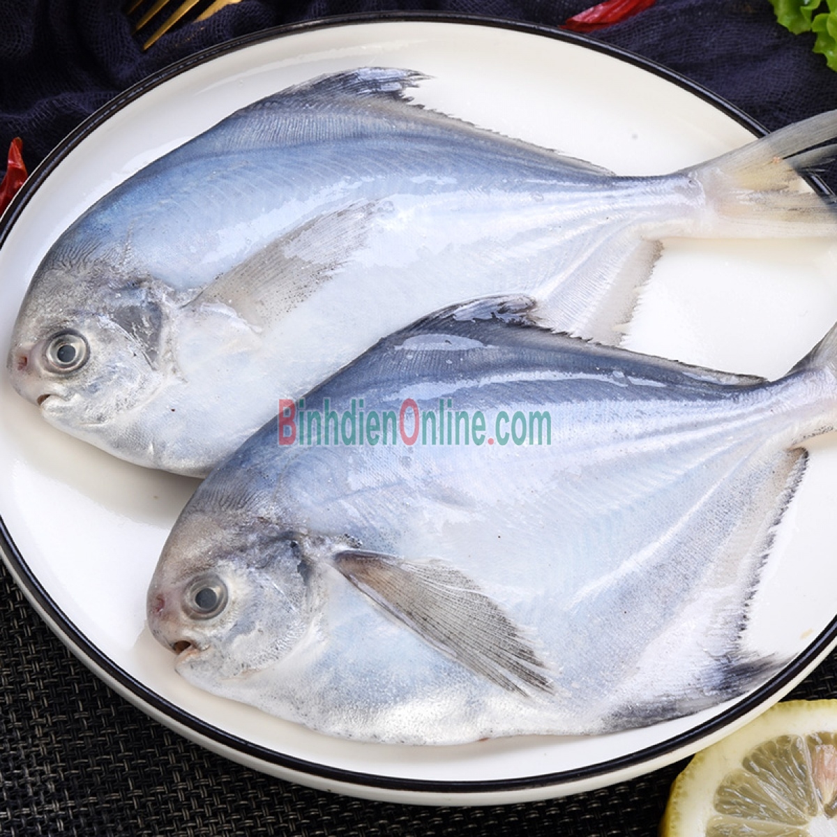 Cá chim trắng tươi rói an toàn 1,5-2 kg/con Xuất xứ Kiên Giang