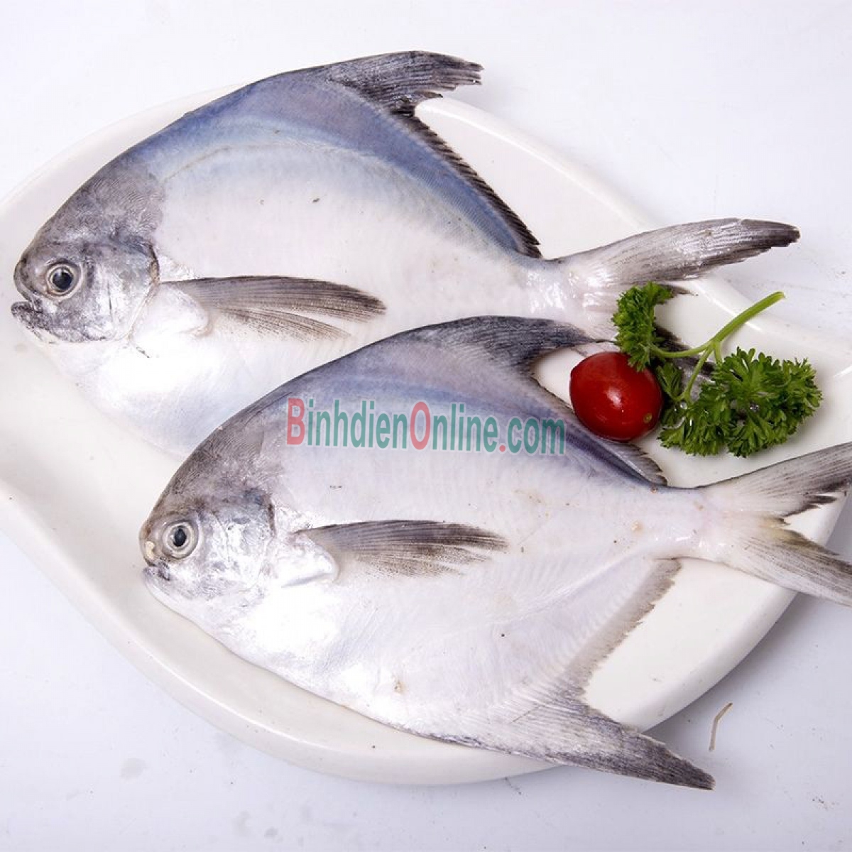 Cá chim trắng đã làm sạch, sản phẩm thiên nhiên 0,7-1 kg/con Xuất xứ Vũng Tàu