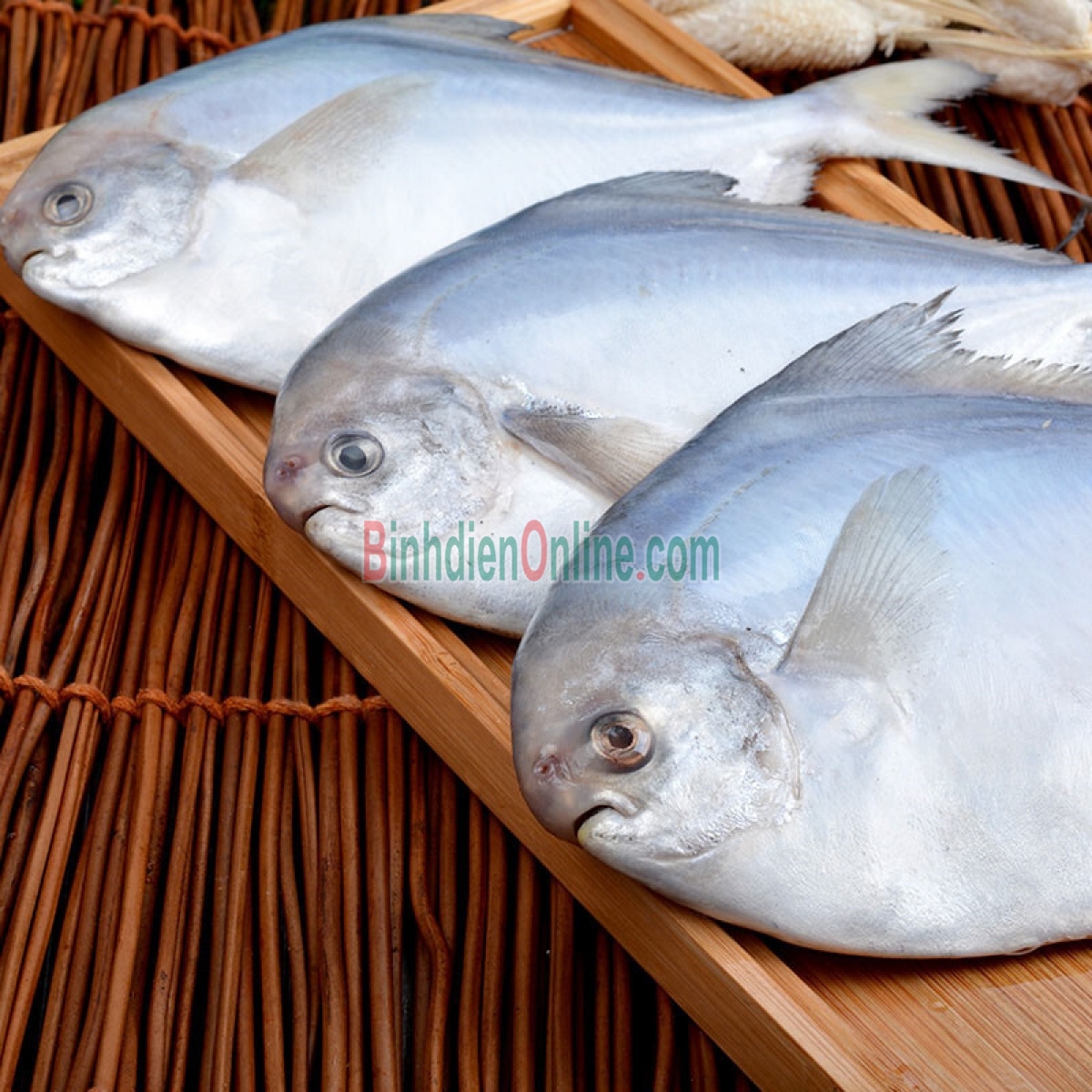 Cá chim trắng tươi rói an toàn 1-1,5 kg/con Xuất xứ Bạc Liêu