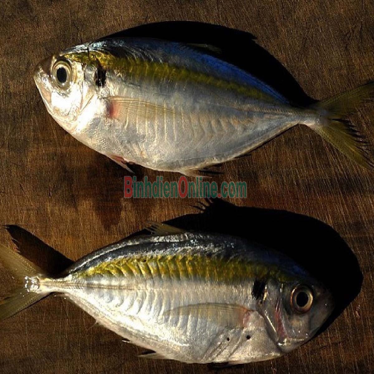 Cá chỉ vàng tươi rói, thịt ngon ngọt 6-8 con/kg Xuất xứ Bình Thuận