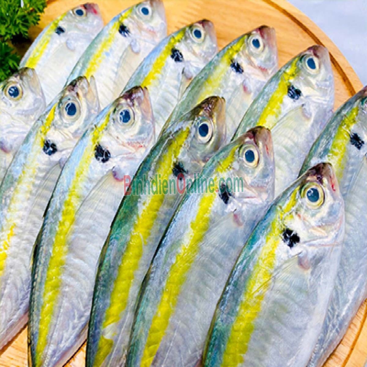 Cá chỉ vàng tươi mới đánh bắt giá tốt 4-6 con/kg Xuất xứ Vũng Tàu