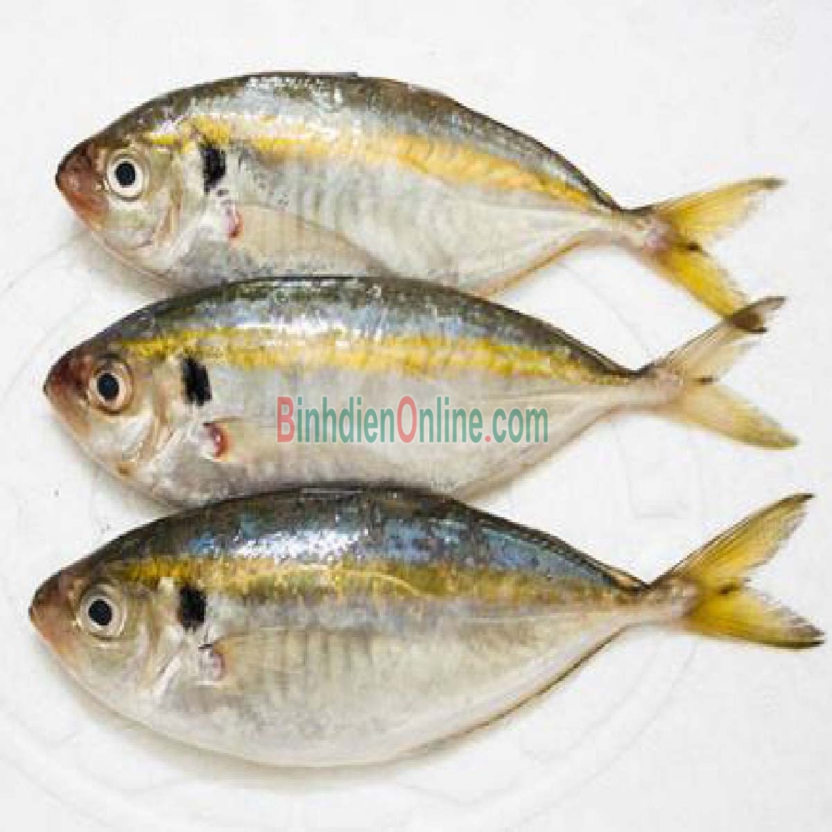 Cá chỉ vàng tươi rói, thịt ngon ngọt 4-6 con/kg Xuất xứ Vũng Tàu