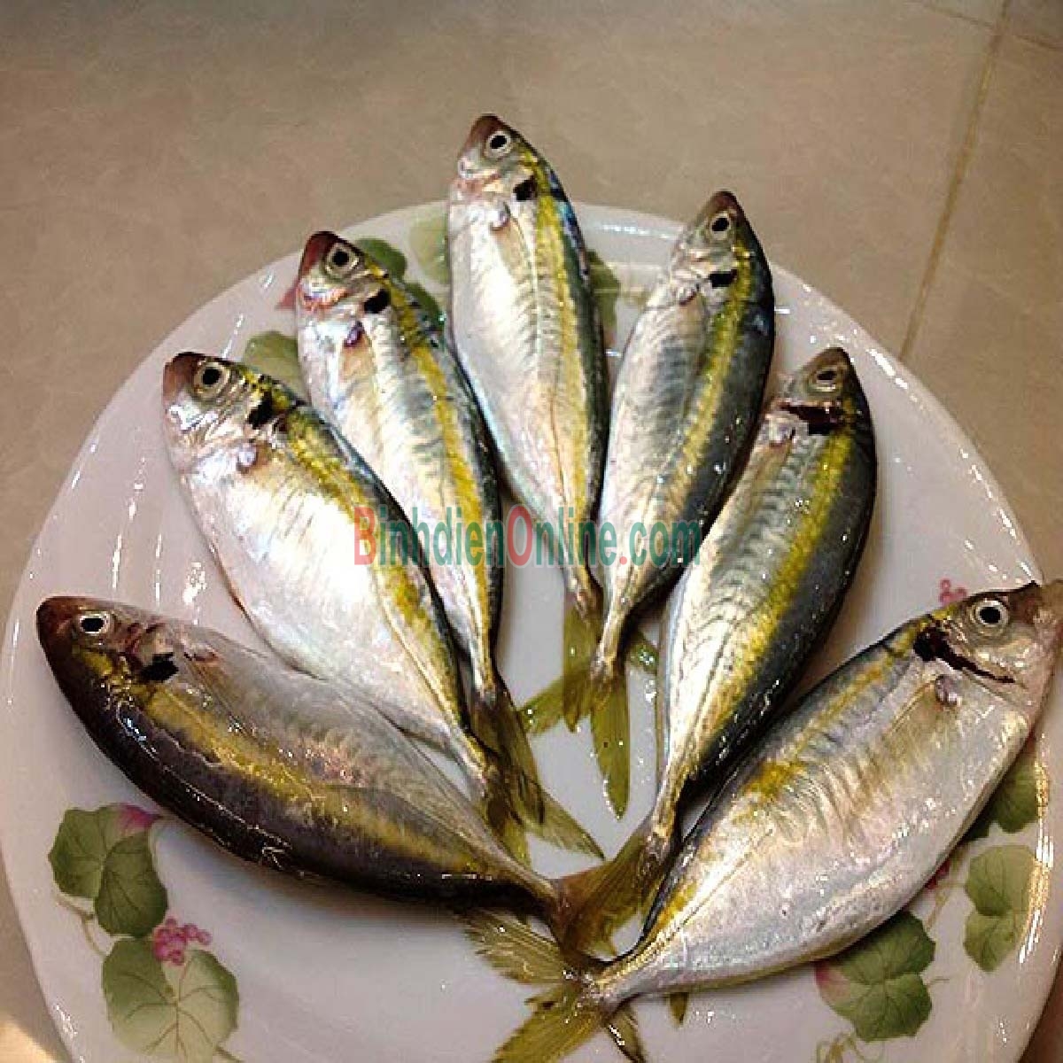 Cá chỉ vàng tươi mới đánh bắt giá tốt 8-10 con/kg Xuất xứ Khánh Hòa