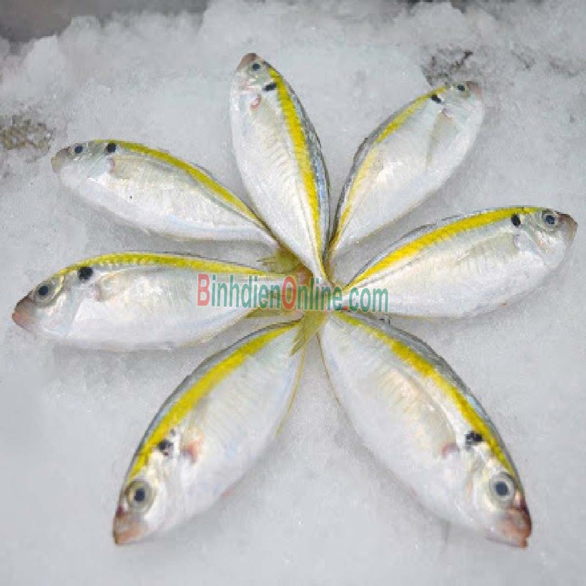 Cá chỉ vàng loại 1 đã làm sạch 6-8 con/kg Xuất xứ Kiên Giang