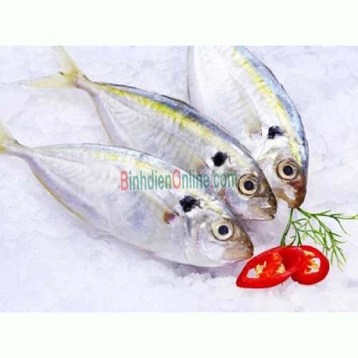 Cá chỉ vàng tươi mới đánh bắt giá tốt 6-8 con/kg Xuất xứ Vũng Tàu