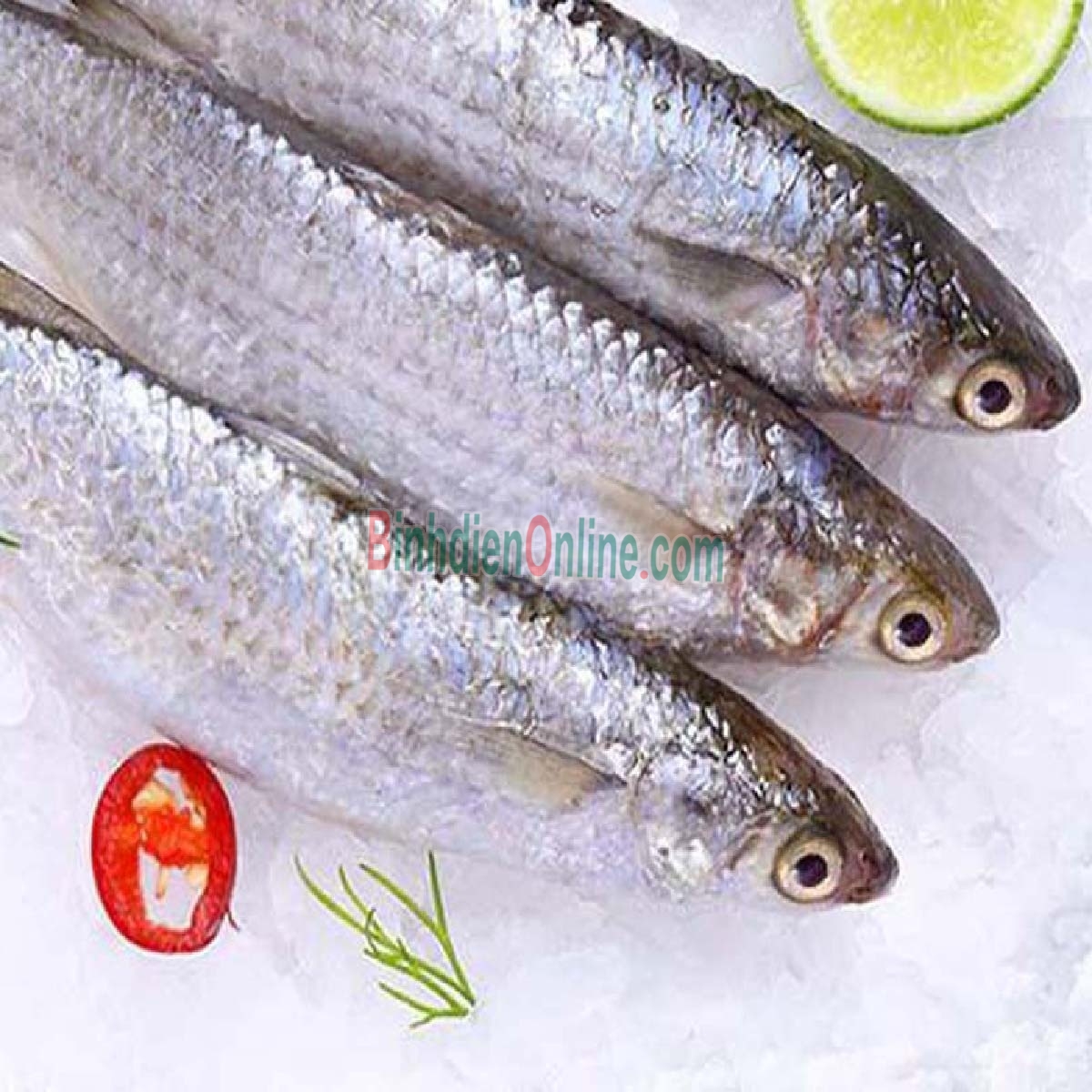 Cá đối tươi loại 1 đã làm sạch 600-800 gr/con Xuất xứ Tiền Giang