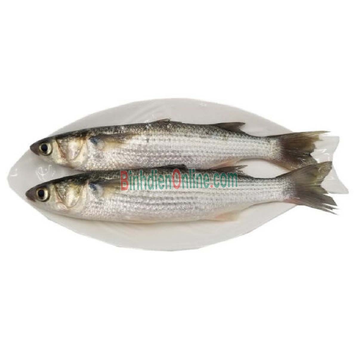 Cá đối đã làm sạch, đảm bảo tươi ngon 3-4 con/kg Xuất xứ Bình Thuận