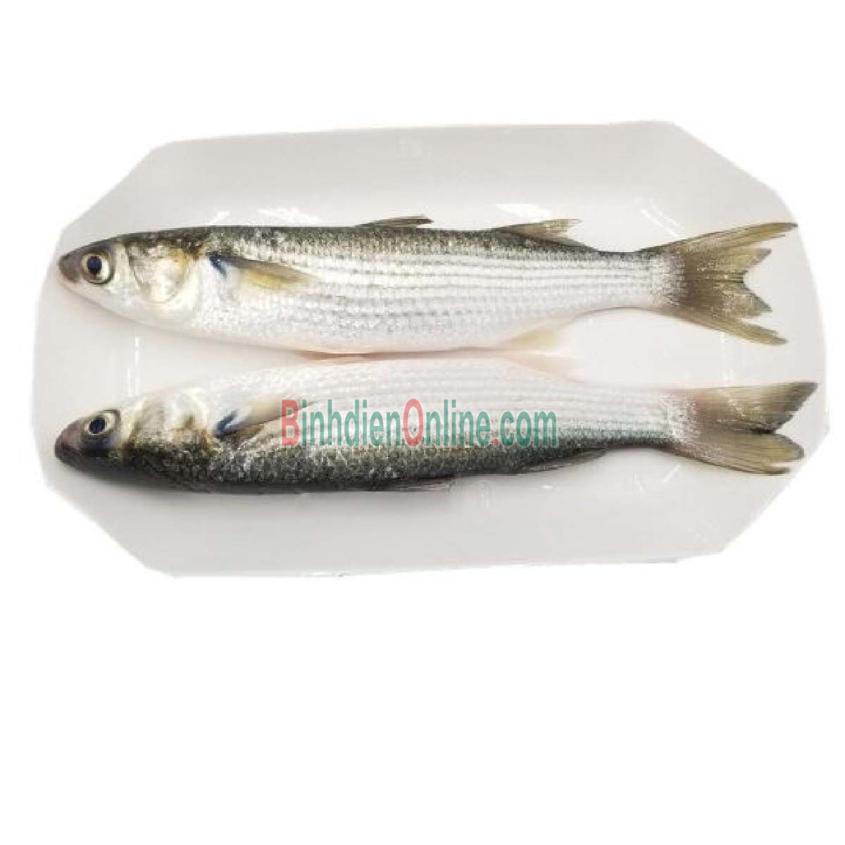 Cá đối tươi loại 1 đã làm sạch 400-600 gr/con Xuất xứ Tiền Giang