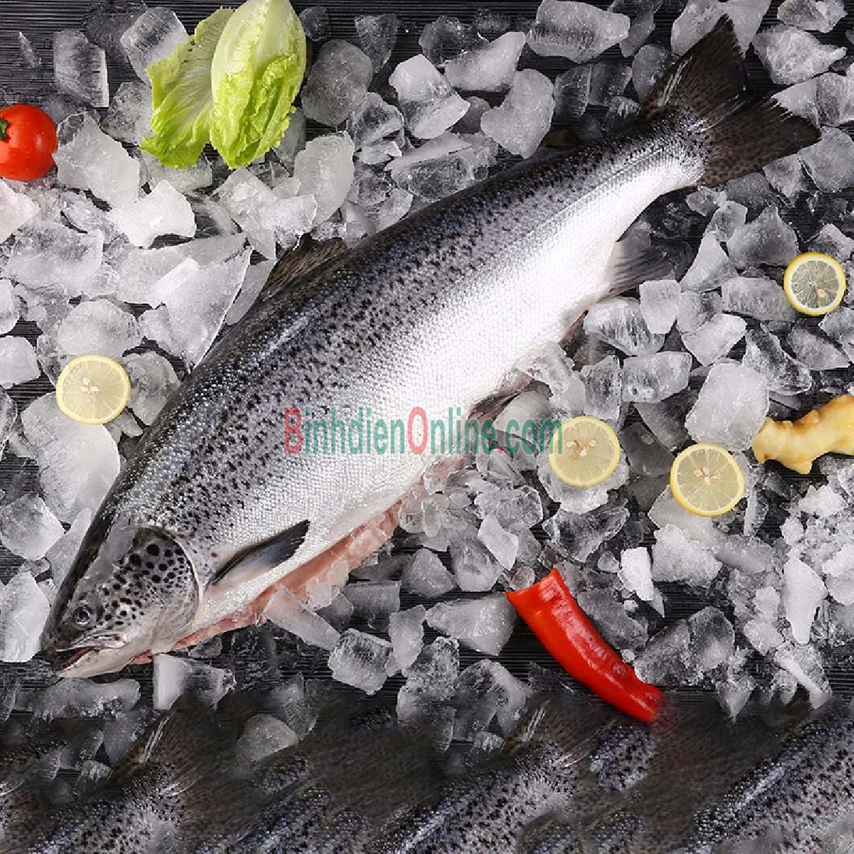 Cá hồi nguyên con đông lạnh nhập khẩu 3-4 kg/con Xuất xứ Chile
