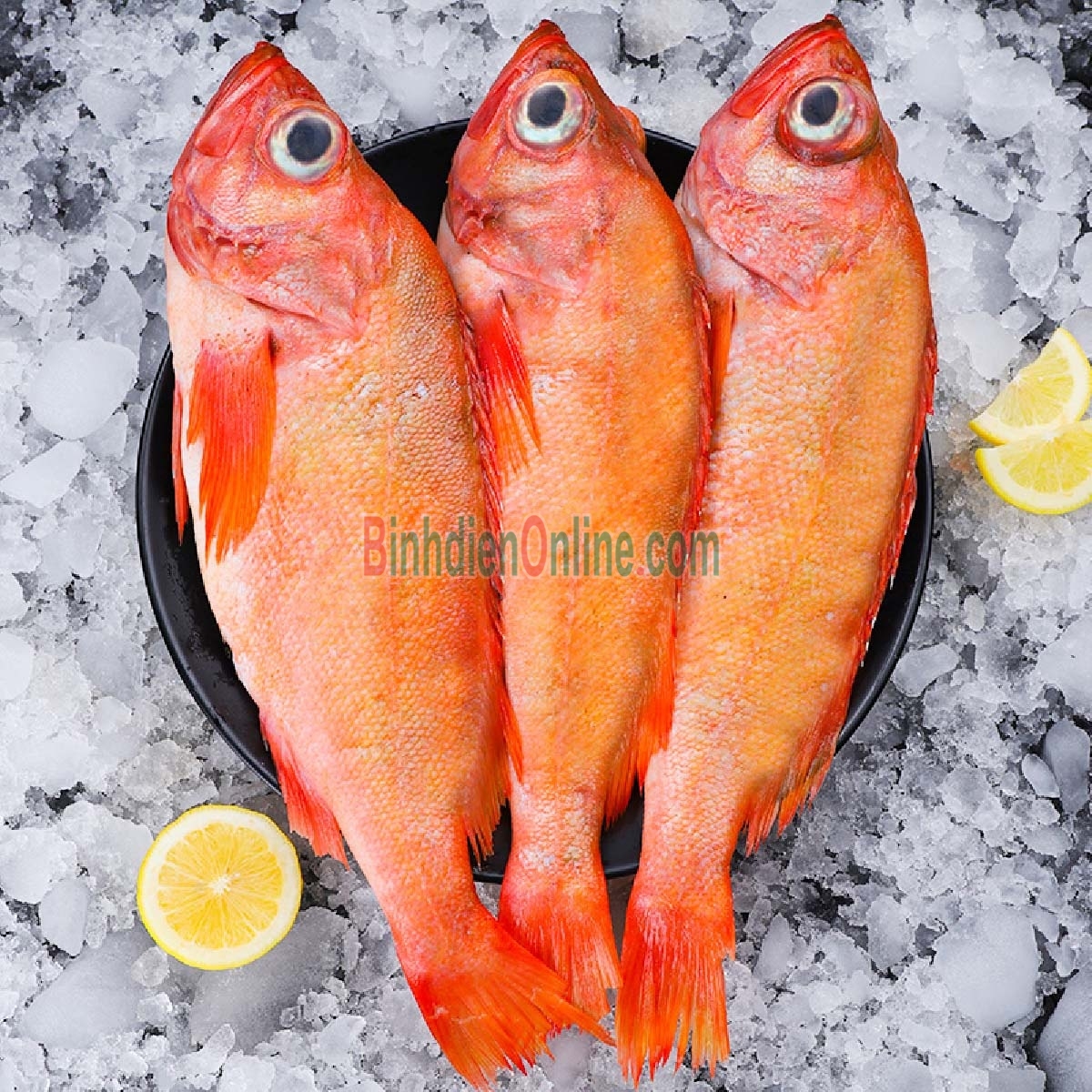 Cá hồng biển tươi loại 1 làm sạch 2-3 kg/con Xuất xứ Kiên Giang