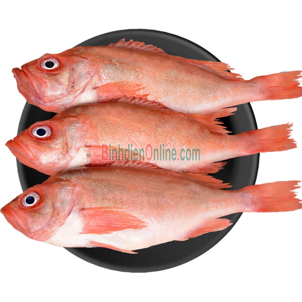 Cá hồng thiên nhiên tươi sạch bổ dưỡng 2-3 kg/con Xuất xứ Bạc Liêu