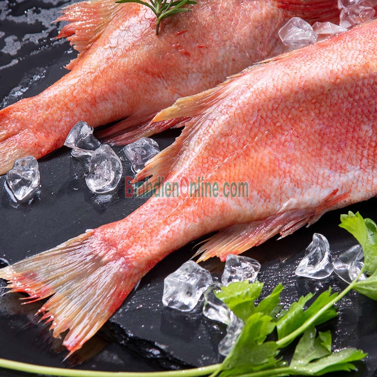 Cá hồng biển tươi rói giá tốt và an toàn 3-4 kg/con Xuất xứ Bạc Liêu