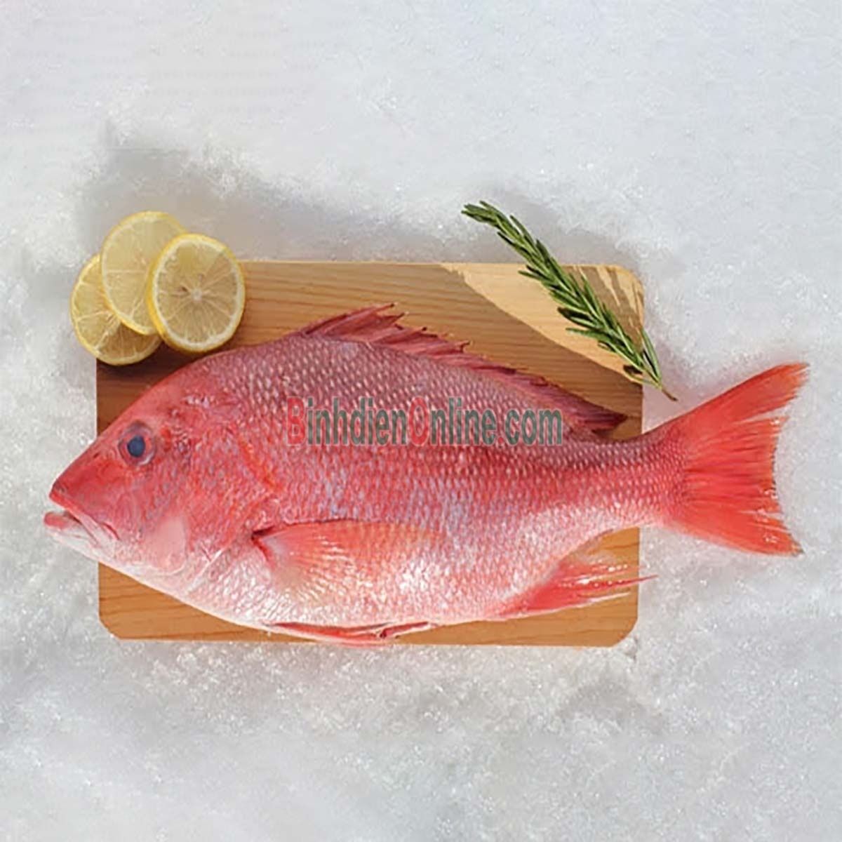 Cá hồng biển tươi rói giá tốt và an toàn 2-3 kg/con Xuất xứ Kiên Giang